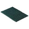 [close out item] SCOUR PADS [36/CASE] -GREEN